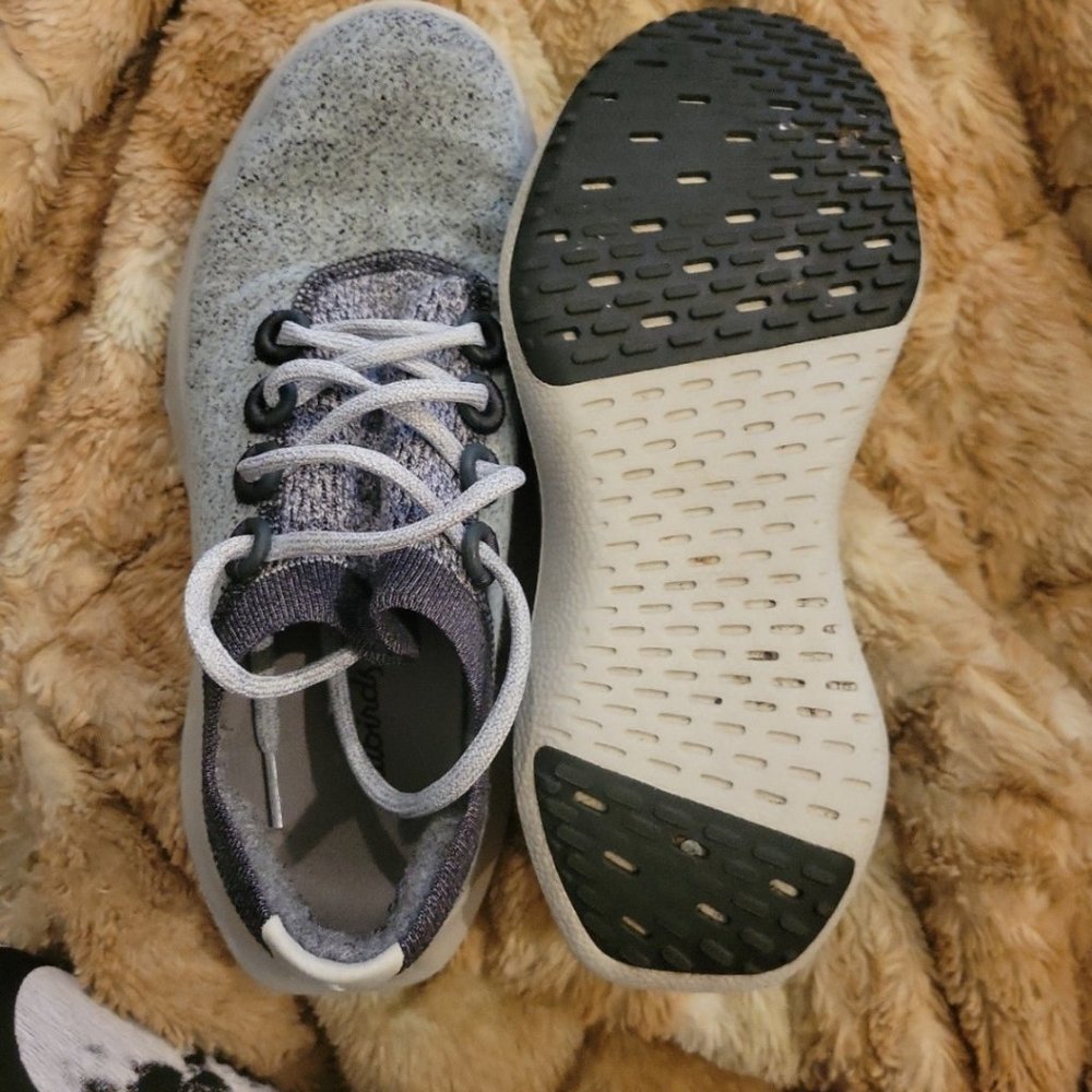 Allbird wool dasher mizzle runners